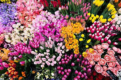 Steam新一周销量榜 《战神4》霸气登顶