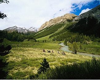 《陷阵之志》7月19日全平台免费更新高级版